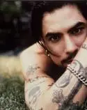 Navarro, Dave